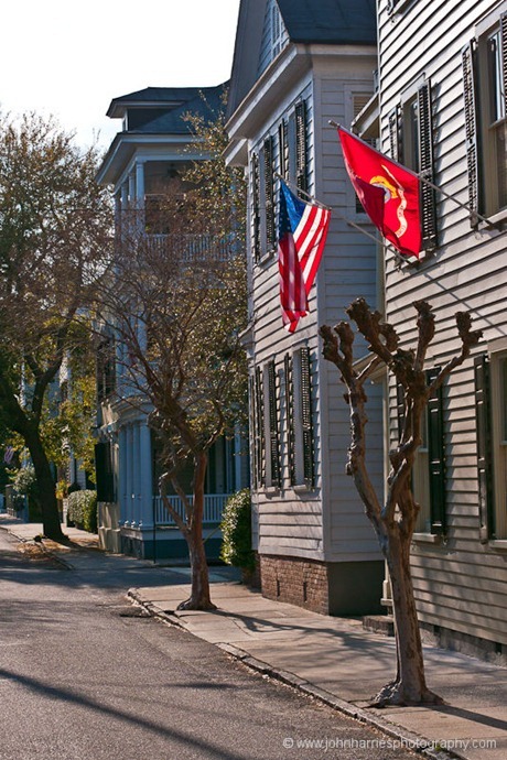 Charleston, SC residential street with flags JHH5II-11070469