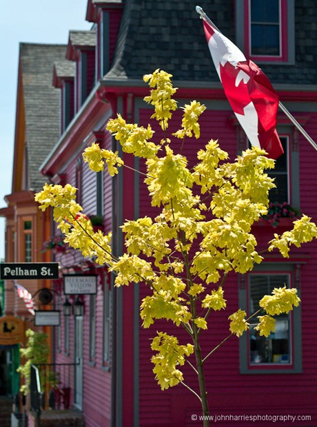 Canadian flag and sunlit tree in front of colourful wooden buildings, Lunenburg, NS. JHHG3-1000426