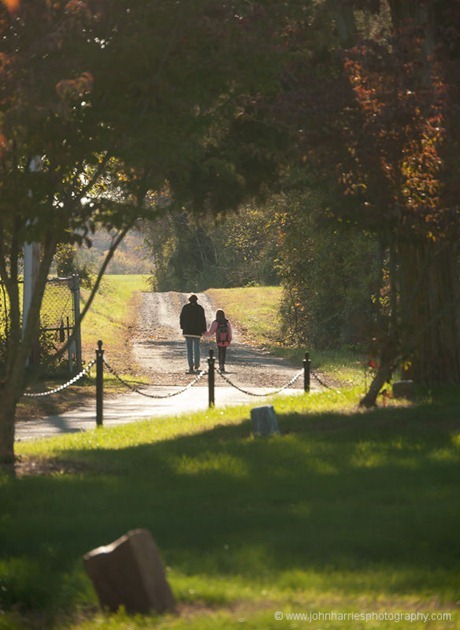 Woman and girl holding hands, walking down dirt lane, surrounded by trees JHHGH1-1040999