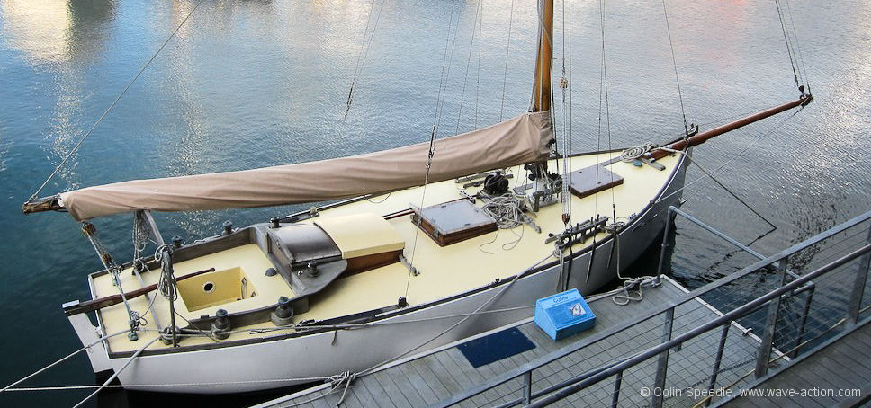 Curlew.jpg