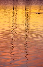 Sailboat masts are reflected in the waters of the Tromsøfjord in the long low yellow light of late winter