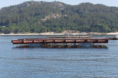 A viveiro - there are literally thousands of these structures throughout the Rias, mainly supporting mussel cultivation, but other shellfish such as queen scallops are now being raised, too.