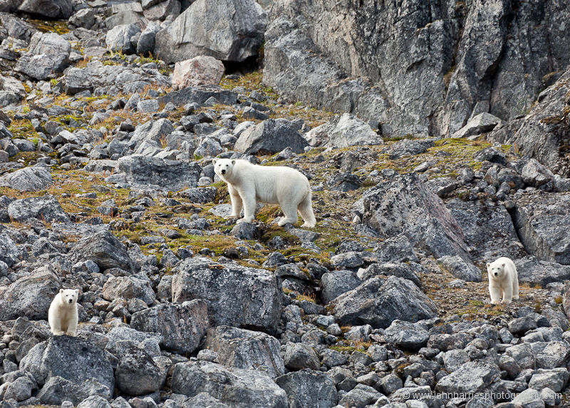 Baffin Island, Still Scary After All These Years