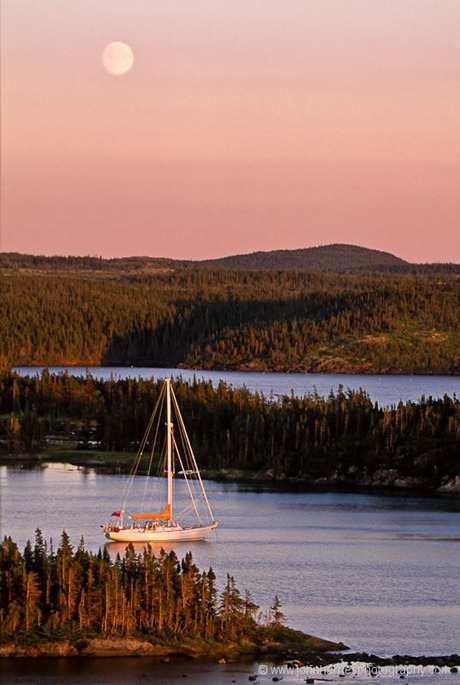 "Morgan's Cloud" lies at anchor in the glow of the setting sun and the rising moon in a sheltered tree-surrounded anchorage in Newfoundland. "Morgan's Cloud" lies at anchor in the glow of the setting sun and the rising moon at Maidens Arm, a very sheltered and uninhabited anchorage on the Great Northern Peninsula. Though uninhabited by people, we had lots of company from otters, moose and birds.