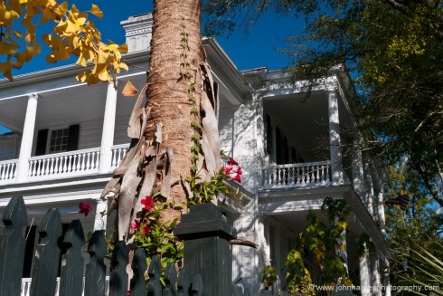 I don't normally like shots that are this busy. But for me, somehow this composition works, although it breaks many of the classic rules. I think that maybe it's the way the shot gives you a feeling for the Charleston architecture and how the houses are set in a riot of lush vegetation.