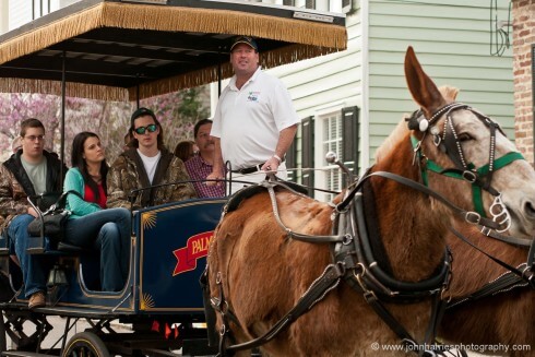Once again there is humour here. The guide is in full cry, but the tourists are bored. Even the horse has heard it all before. So often the real story makes a more interesting photo than the ideal tourist shot. A tight crop makes the image. If I had included the whole carriage and both horses the people would have been too small for their expressions to be obvious. Here I used a 90mm prime lens nearly wide open at F2.2 to freeze the movement and focused on the guide's face to emphasize the star of the show. If I had used a slower zoom everything would have been in sharp focus, including the background, and the shot would be weaker.