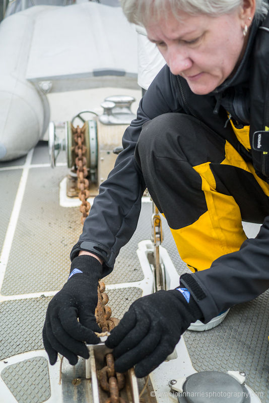If They’re Good Enough For Seals, They’re Good Enough For Us