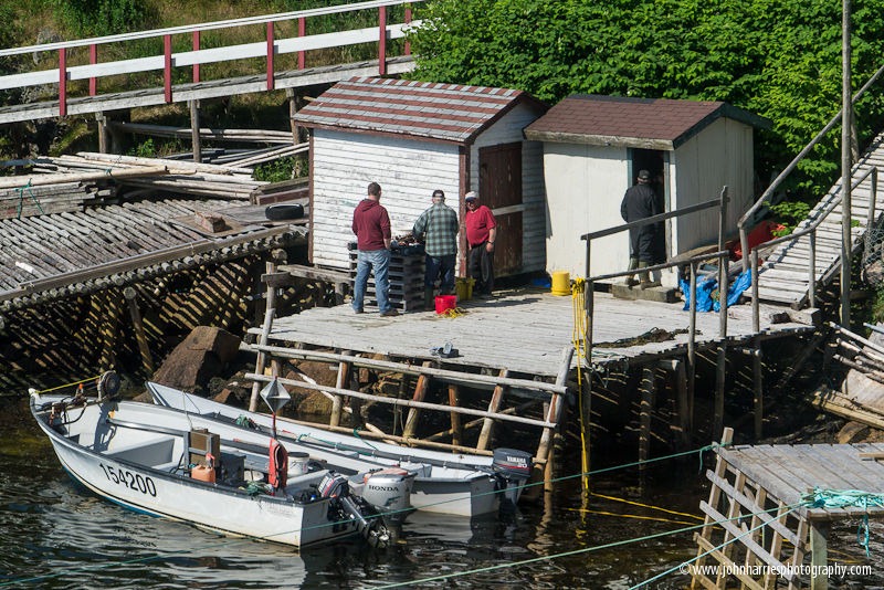 A Visit By Sailboat To The Outport Community Of Gaultois, Newfoundland