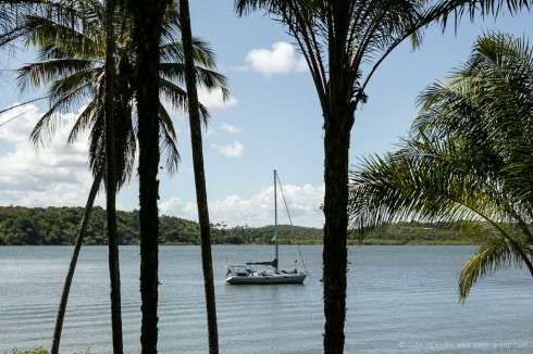 Our own private tropical island.