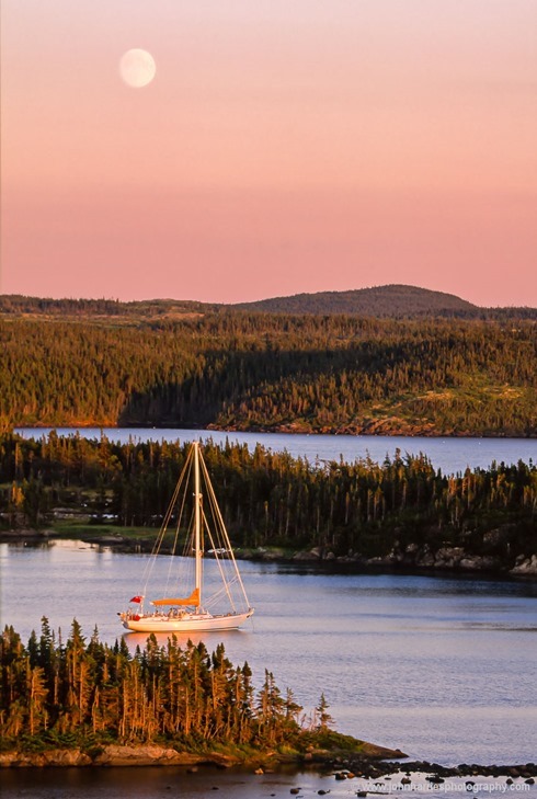 "Morgan's Cloud" lies at anchor in the glow of the setting sun and the rising moon at Maidens Arm, a very sheltered and uninhabited anchorage on the Great Northern Peninsula. Though uninhabited by people, we had lots of company from otters, moose and birds.