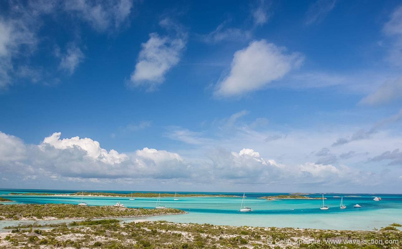 Of Deadlines, Drug Dealers, and Dolphins…