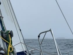 48455534936_c9a3c6754f_c.jpg