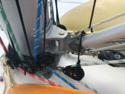 IMG_3095 Large.jpeg