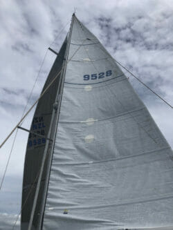IMG_3614 Large.jpeg