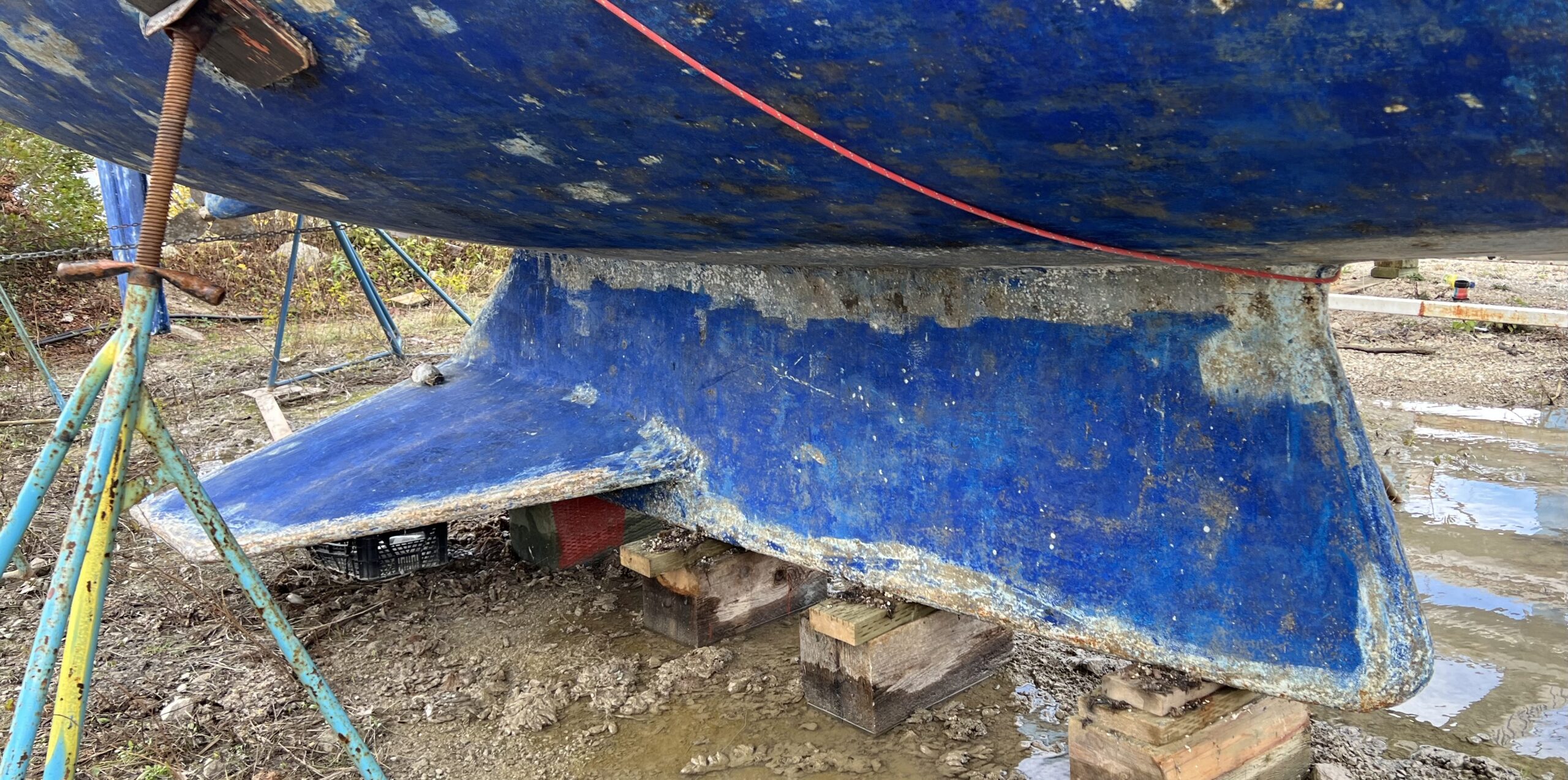 Wing Keel Craze